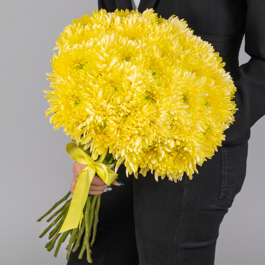 Желтые Игольчатые Хризантемы